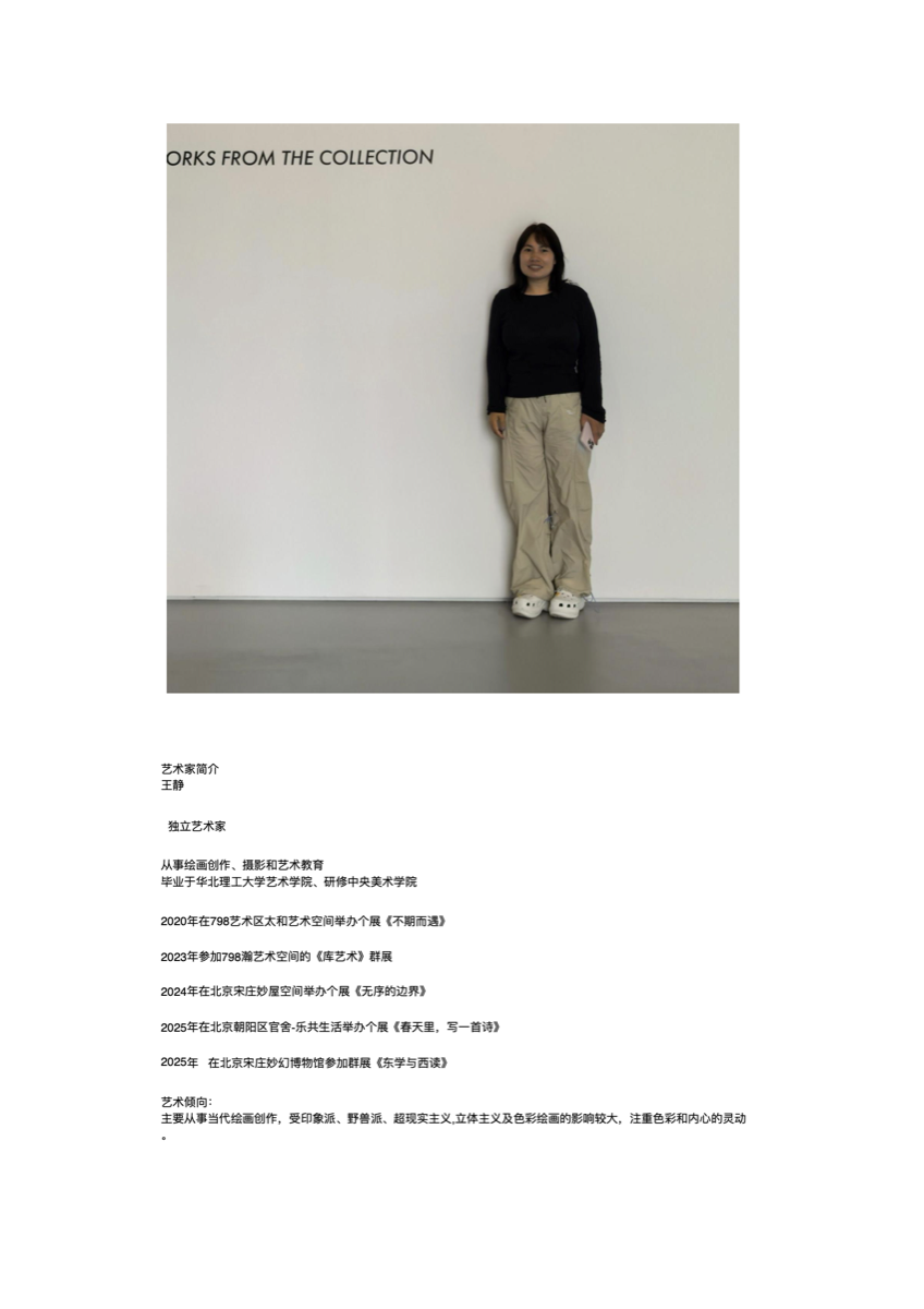 Wang Jing — Artist Portrait